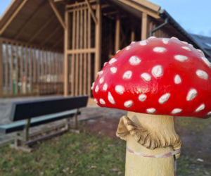 To będzie nowa atrakcja w Świętokrzyskiem. Tężnia solankowa w Zagnańsku