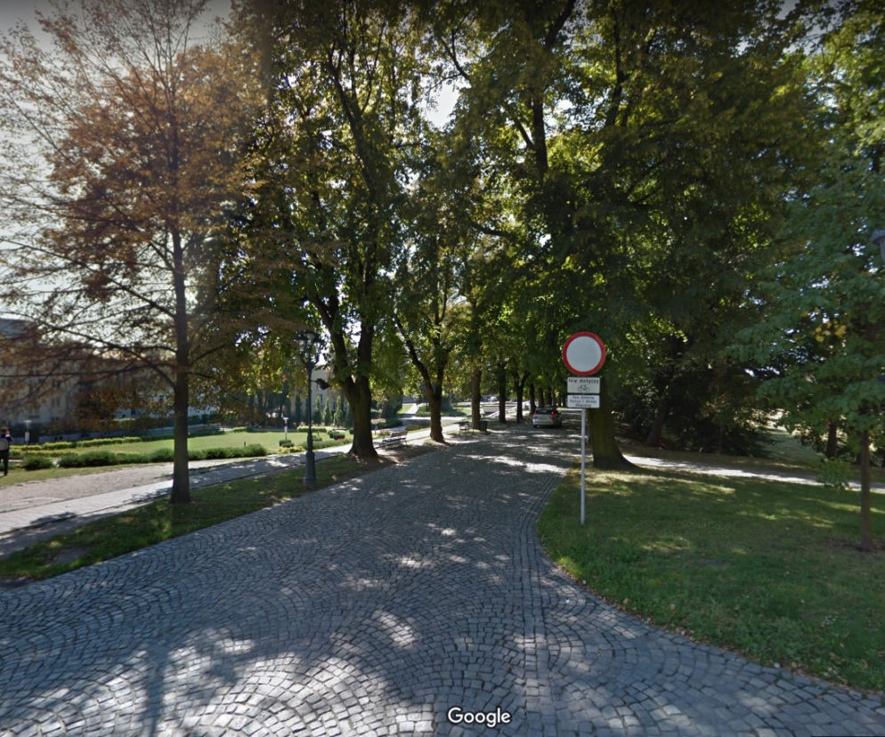 Rzeszów.   Jak przetrwać upał w mieście? Zobaczcie listę miejsc, gdzie można schronić się w cieniu!