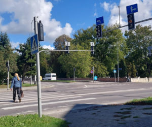 ul. Peowiaków w Zamościu