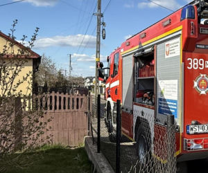 Mruczek wpadł do starej studni. Rozpaczliwym miauczeniem wołał pomocy