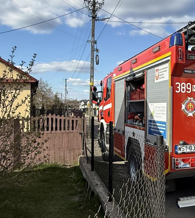 Mruczek wpadł do starej studni. Rozpaczliwym miauczeniem wołał pomocy