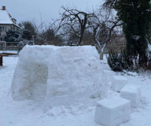 We Wrocławiu powstał domek igloo. Przypomina uroczego kota!