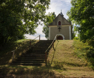Trzcinica Wołowska