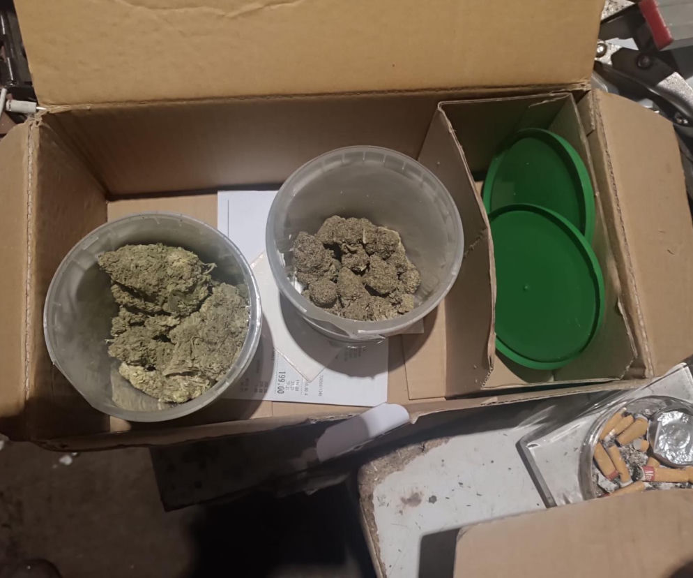 Dwa plastikowe pojemniki z marihuaną w kartonie. O rozbiciu grupy narkotykowej przez CBŚP przeczytasz na Eska Tarnów.