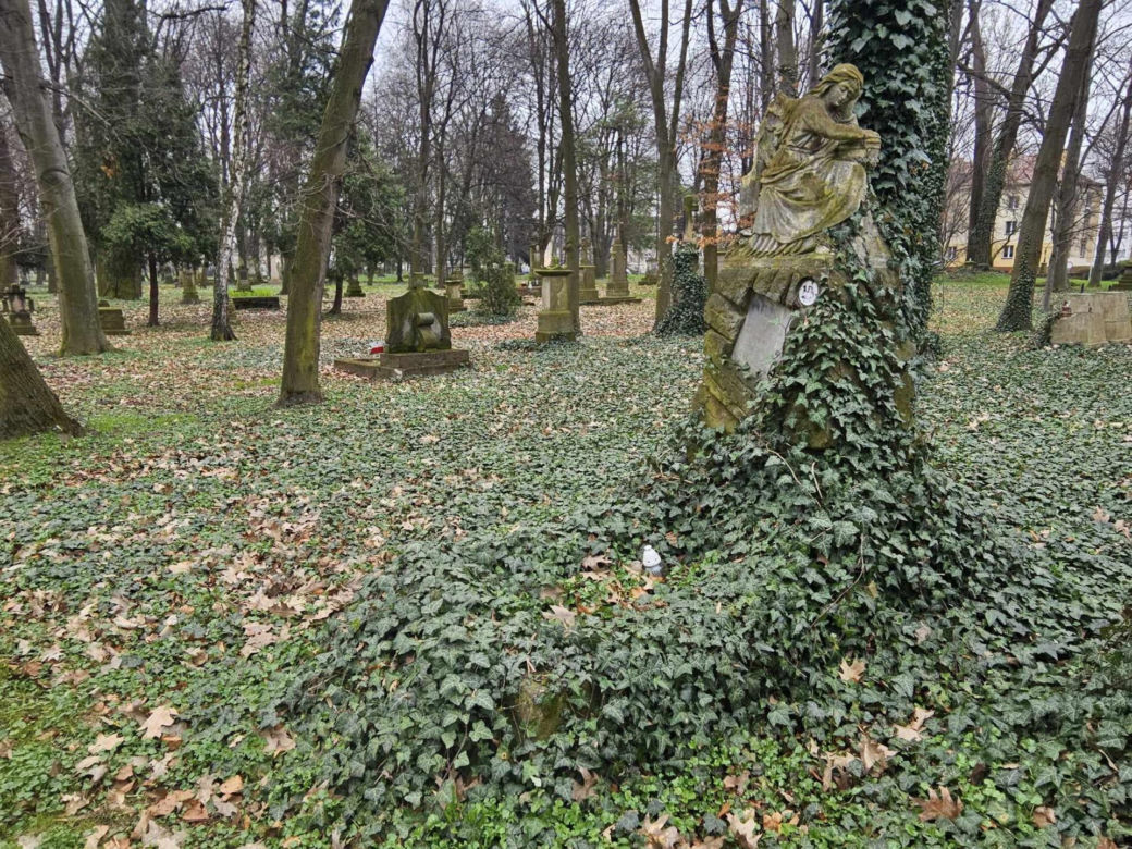 Stary cmentarz w Rzeszowie najstarsza zachowana nekropolia w mieście