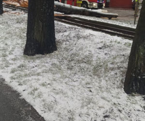 Potężna wichura przeszła przez Bydgoszcz [ZDJĘCIA]