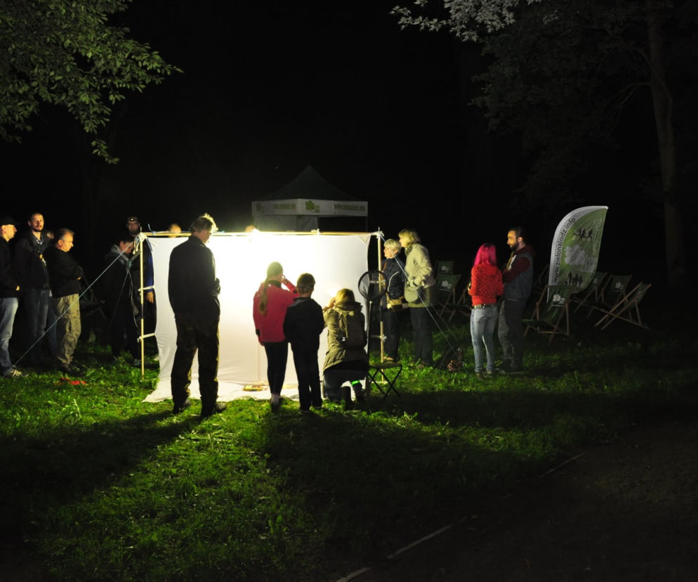 Nocne świecenie