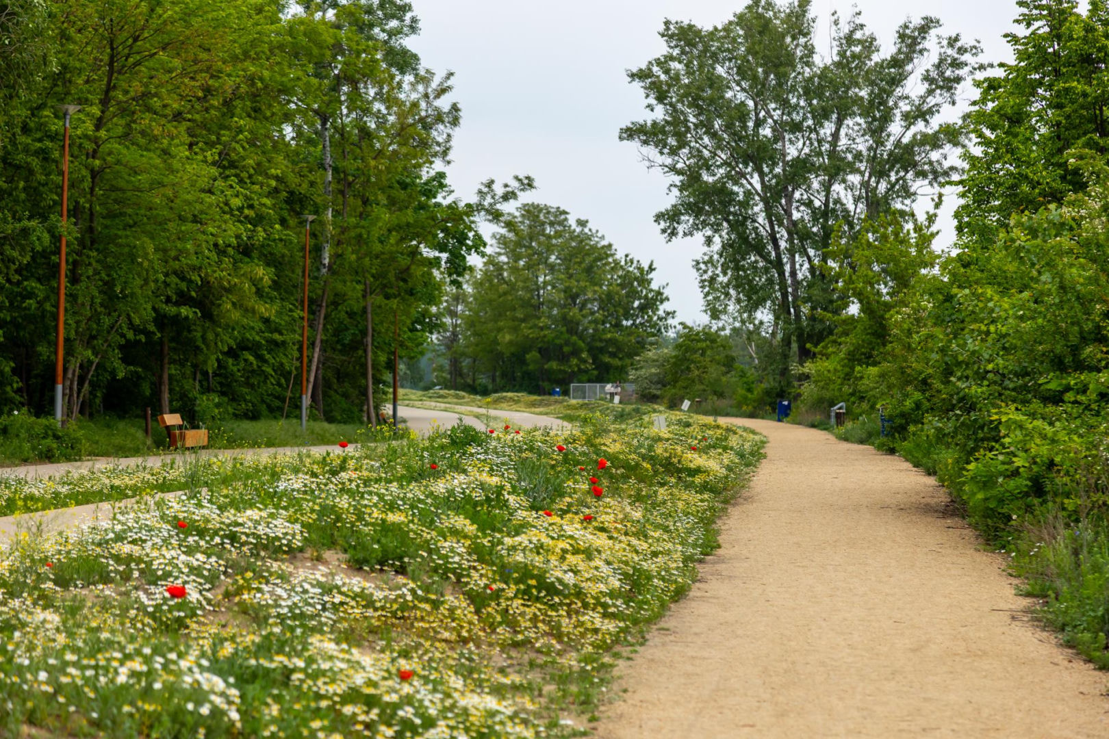 Park Żerański w Warszawie
