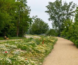Park Żerański w Warszawie
