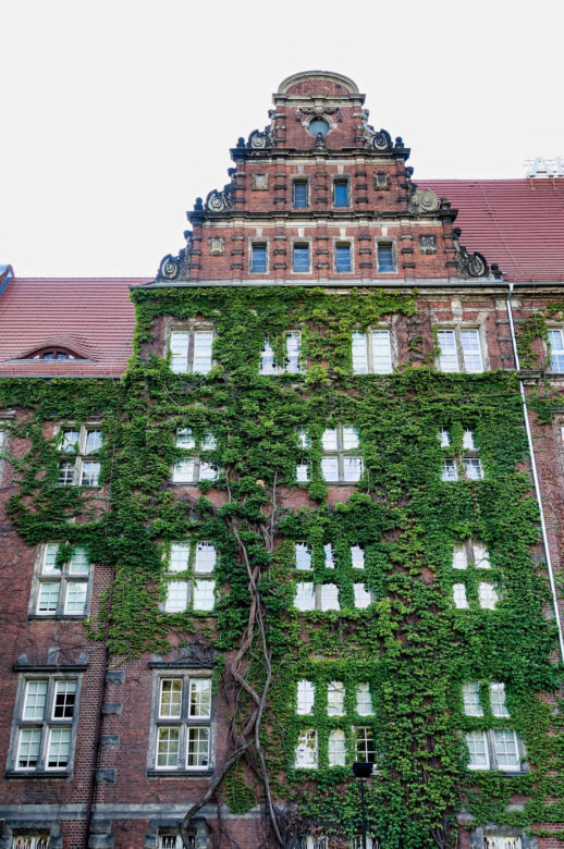 Szczecin "Paryżem Północy"