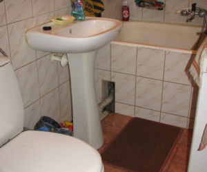 Zdjęcie 7354
