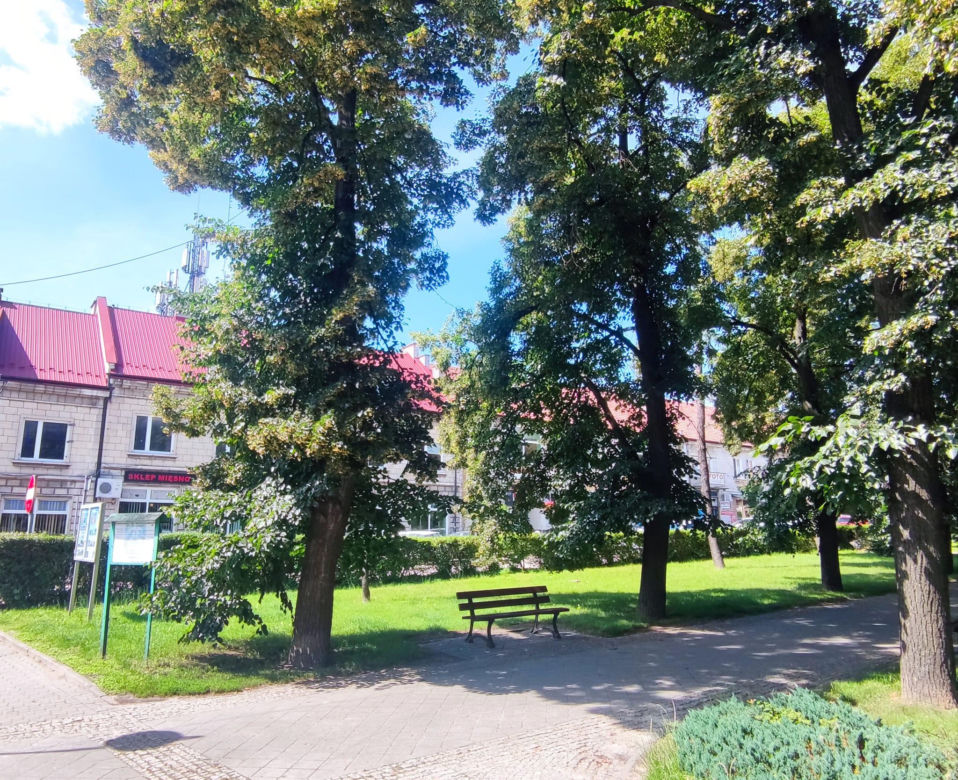 Zielony Rynek w Pińczowie