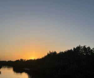 Gambia