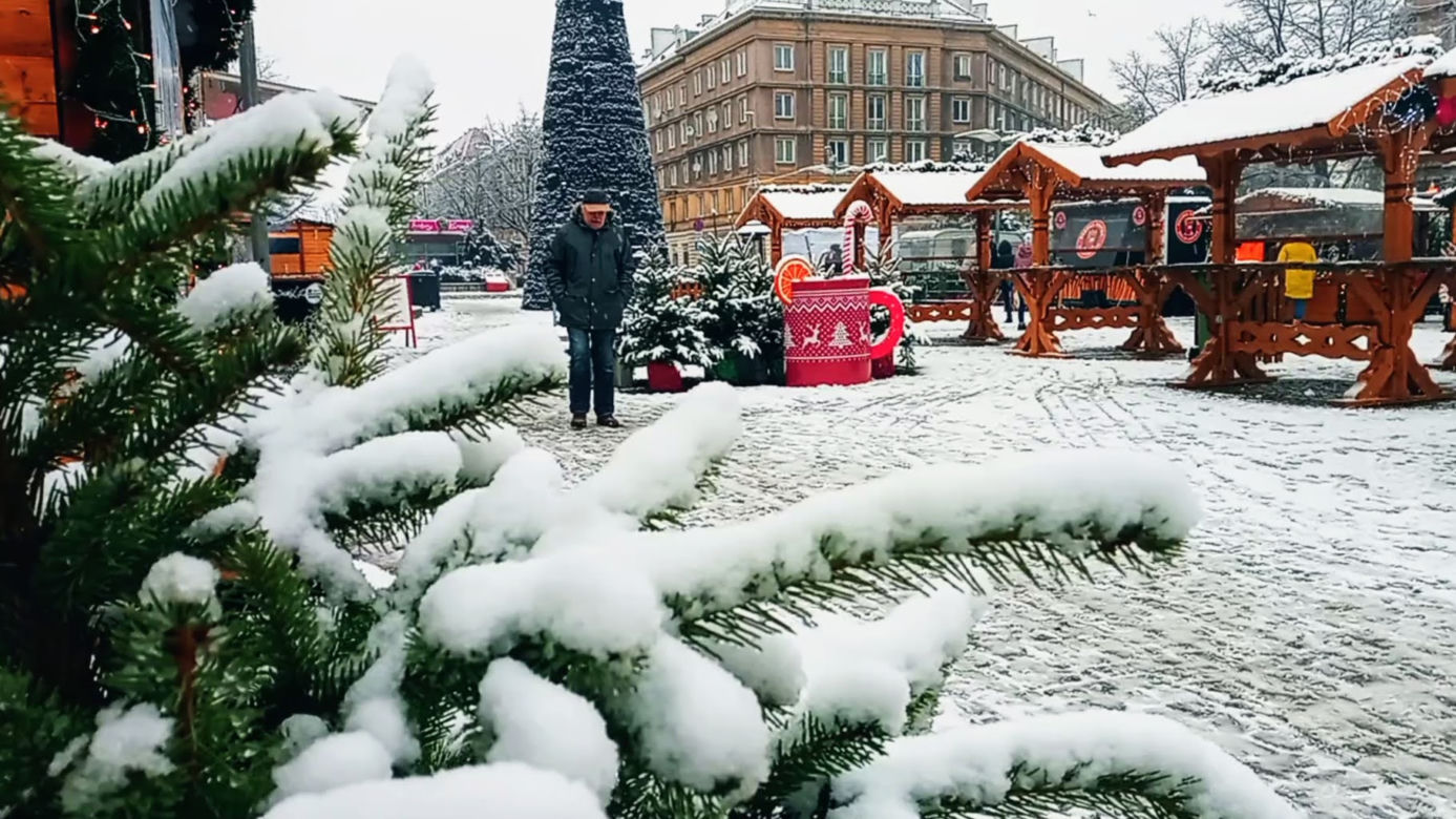 Pierwszy śnieg w Szczecinie