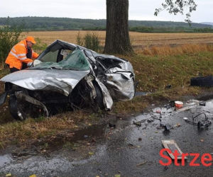 Wypadek pod Strzelinem
