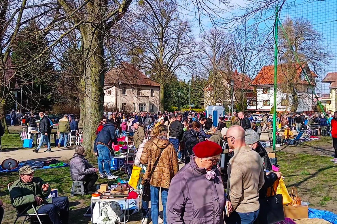Pierwszy wiosenny pchli targ na Pogodnie