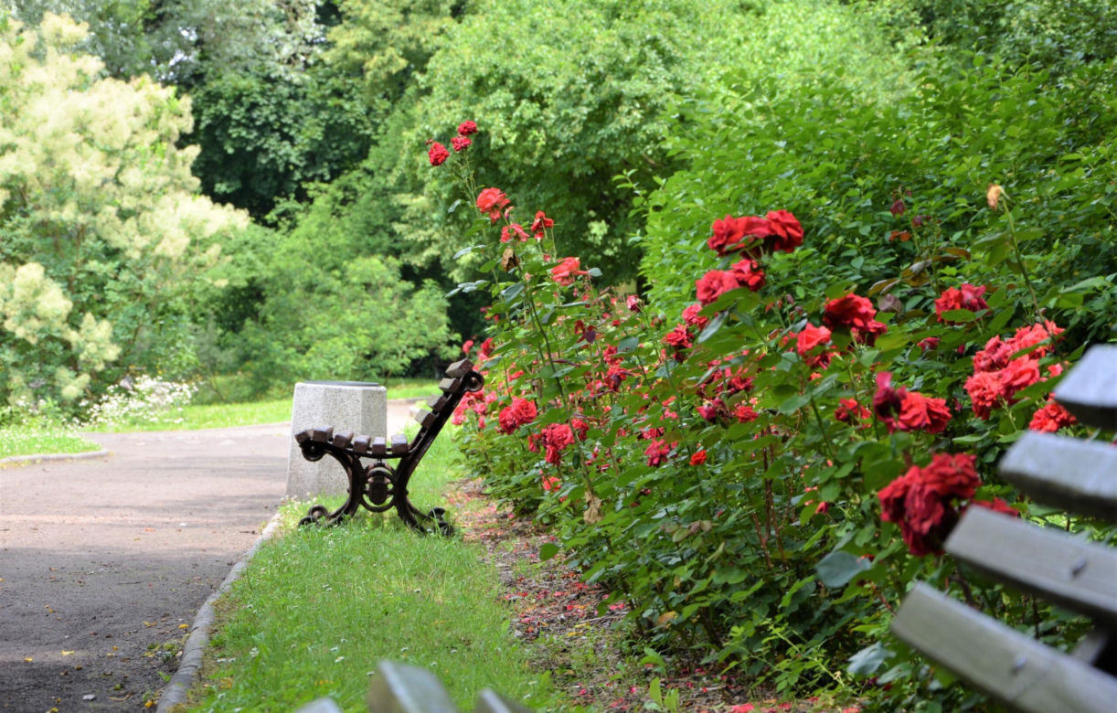 Miejski Ogród Botaniczny w Zabrzu