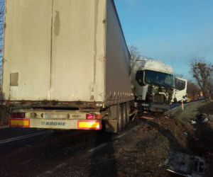 TIR uderzył w drzewo
