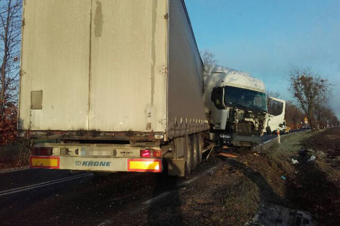 TIR uderzył w drzewo