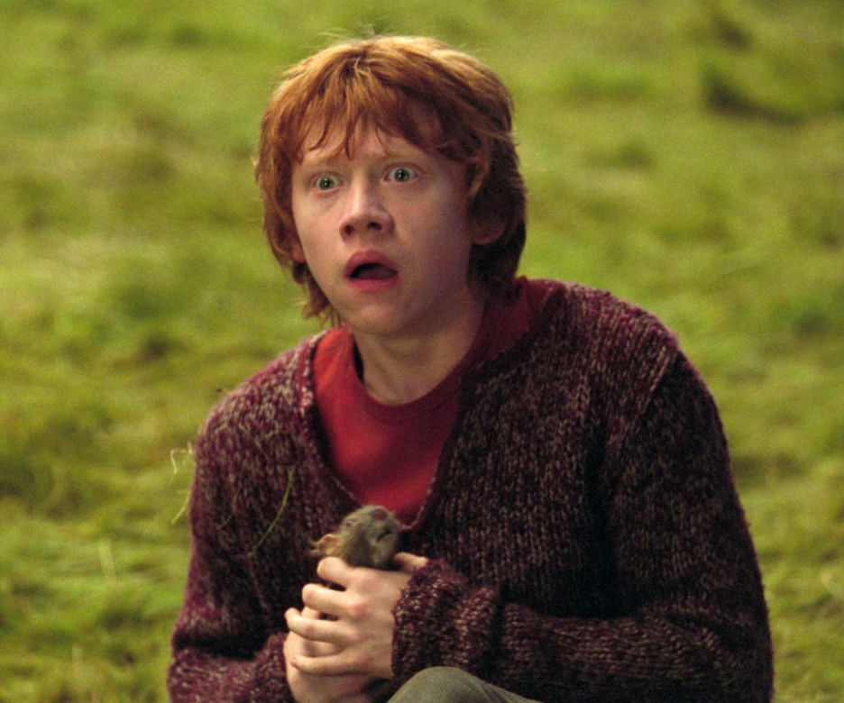 Rupert Grint (Ron Weasley) – PRZEGRANA Z URZĘDEM SKARBOWYM