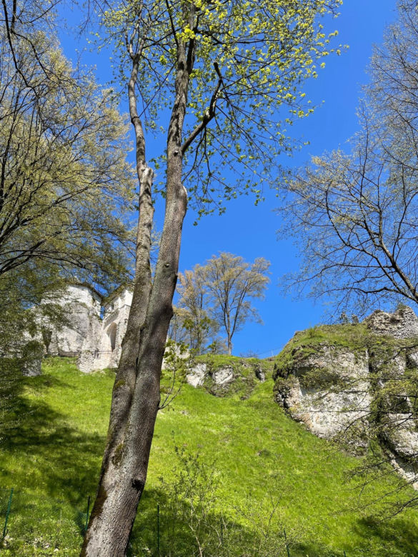 Ojcowski Park Narodowy zachwycił zagraniczne media. To prawdziwa oaza spokoju