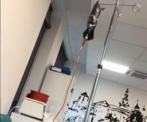 Arwena Tarasiuk-Wilczewska