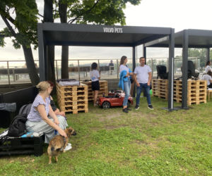 Eska Summer City i „Miasteczko Bezpieczeństwa”. Ogrom wiedzy przed wakacyjnymi podróżami!
