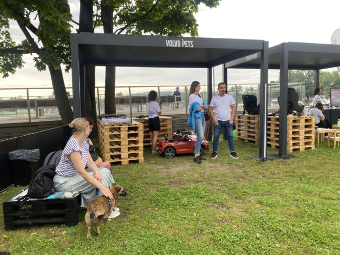 Eska Summer City i „Miasteczko Bezpieczeństwa”. Ogrom wiedzy przed wakacyjnymi podróżami!