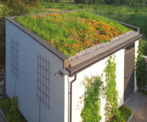 Zielony dach płaski