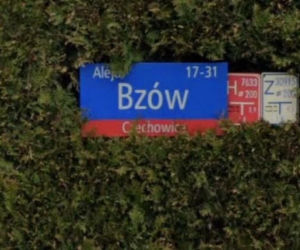 Oto najbardziej wiosenne ulice w stolicy! Tu wiosna trwa cały rok!