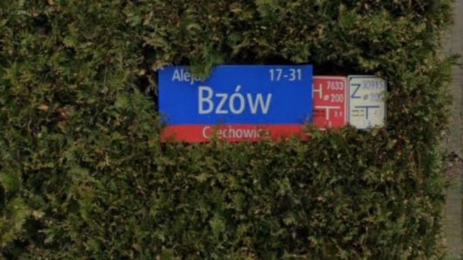 Oto najbardziej "wiosenne" ulice w stolicy! Tu wiosna trwa cały rok!