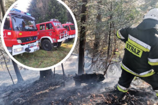 Baligród. Wyrzucał popiół z kominka, ogniem zajął się hektar lasu [Zdjęcia]
