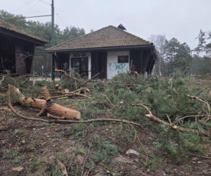 Przebudowa pętli Las Gdański ruszy w 2026 roku. Wycięto ponad 330 drzew!