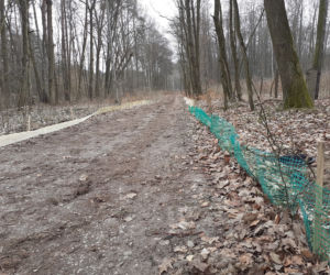 Ochrona żab na Barbarce