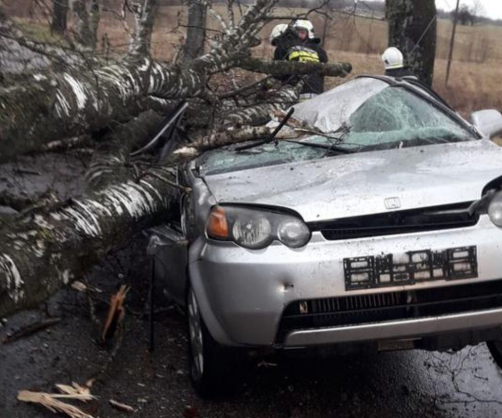 Wichura na Warmii i Mazurach. IMGW wydało ostrzeżenie! Porywy do 90 km/h