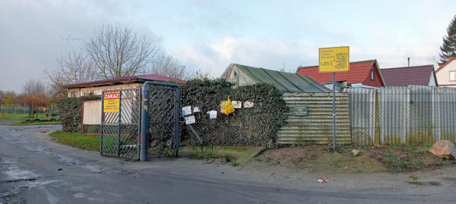 Działkowiec uratował starszą panią przed zamarznięciem