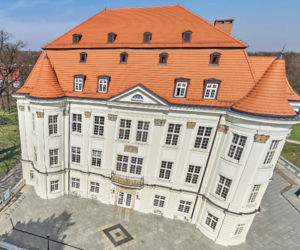 Zamek w Leśnicy
