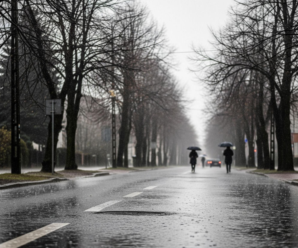Długa, mokra asfaltowa ulica, z widocznymi kałużami odbijającymi światło, rozciąga się w głąb obrazu. Na niej widoczne są przerywane, białe pasy poziome, a w oddali, w centrum kadru, widać trzy niewyraźne sylwetki ludzi, z których dwie trzymają otwarte czarne parasole. Po obu stronach drogi rosną liczne drzewa o nagich, ciemnych gałęziach, tworzące aleję, a za nimi zarysowane są budynki mieszkalne w różnych odcieniach beżu i szarości. Szare, zachmurzone niebo widoczne jest ponad horyzontem, a w powietrzu unosi się delikatna mgiełka deszczu.