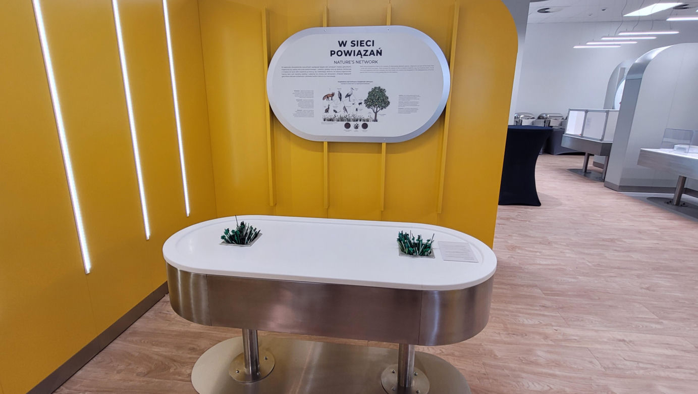 Wielkie otwarcie Centrum Nauki „Kortosfera”. „Jesteśmy dla wszystkich” [ZDJĘCIA]