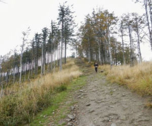 Beskidy Ultra Trail