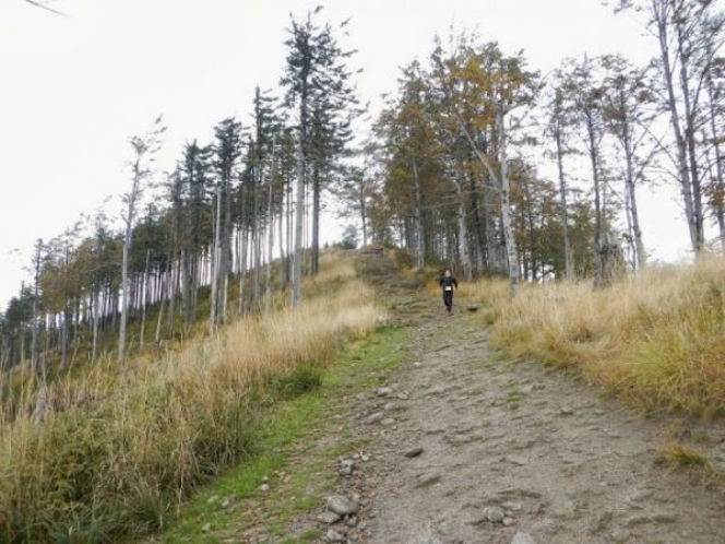 Beskidy Ultra Trail