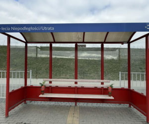 Darmowe palmy na ulicach Suwałk! Niezwykła akcja Radia ESKA