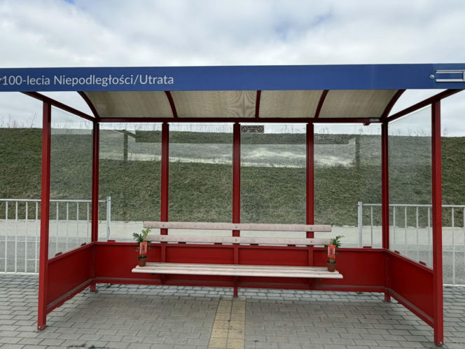 Darmowe palmy na ulicach Suwałk! Niezwykła akcja Radia ESKA