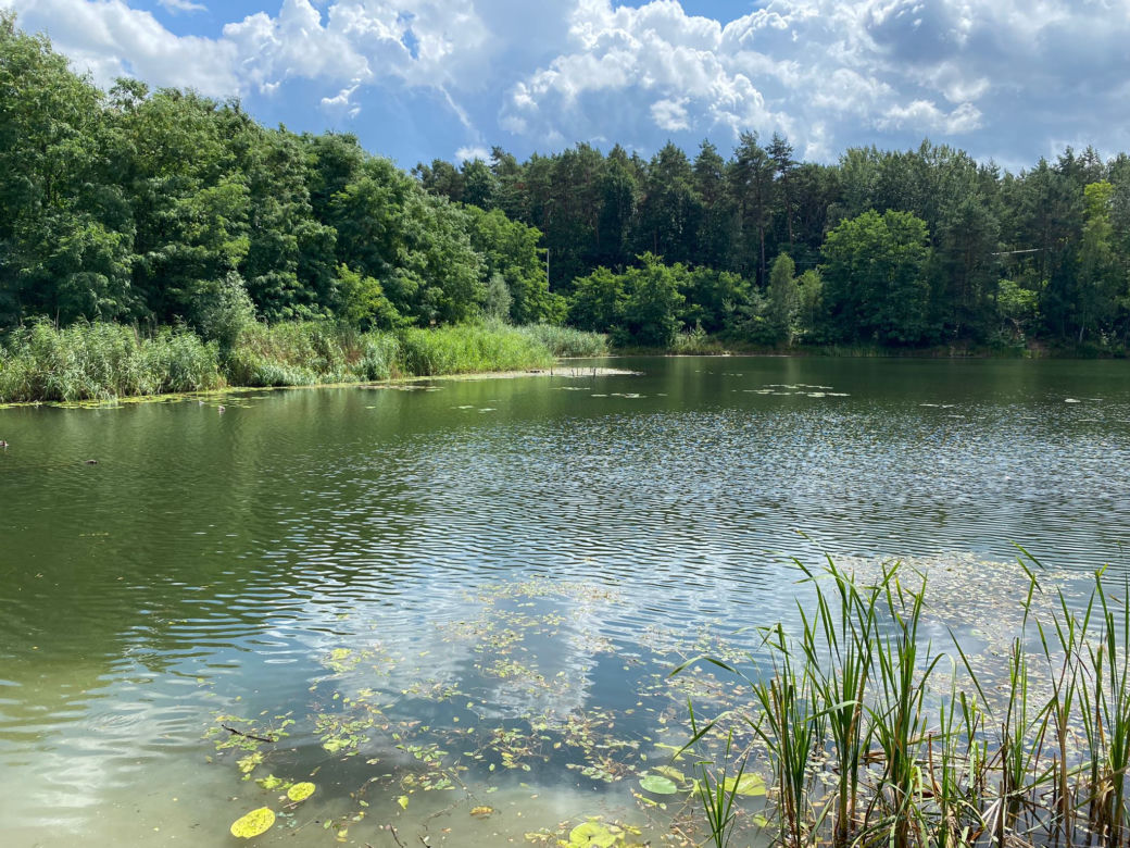 Glinianki w Zielonej Górze popadają w ruinę? 