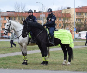 Patrole konne w Policach