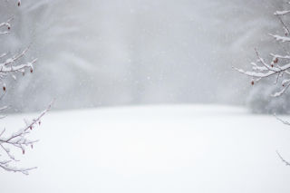 Białe Święta 2025. Które regiony mają szansę na śnieżną niespodziankę?