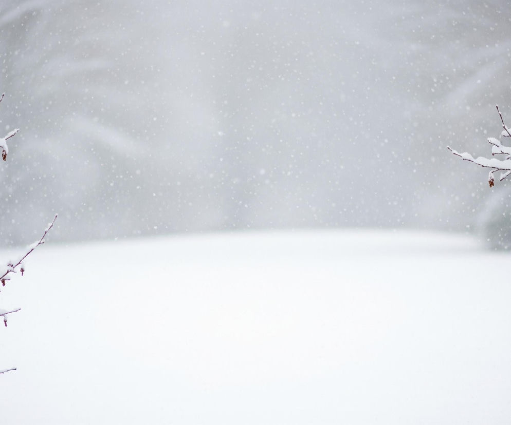 Na pierwszym planie widoczne są czarne, nagie gałęzie drzew pokryte grubą warstwą białego śniegu, rozmieszczone symetrycznie po lewej i prawej stronie kadru. Wśród śniegu na gałęziach dostrzec można kilka niewielkich, brązowych szyszek lub suchych owocostanów. Pomiędzy gałęziami rozciąga się przestrzeń pokryta jednolitą, białą warstwą śniegu, która zanika w tle w lekko zamazane, szare obszary. Cały obraz wypełnia atmosfera zimowego dnia z opadającym śniegiem, który tworzy liczne, białe punkty w powietrzu, szczególnie widoczne w górnej części kadru.