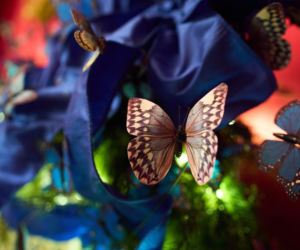 Melania Trump udekorowała Biały Dom. Święta lepsze niż za Bidena?