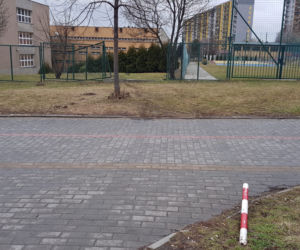 Wyglądało groźnie. Samochód przejechał przez deptak, sforsował ogrodzenie i stoczył się ze skarpy.