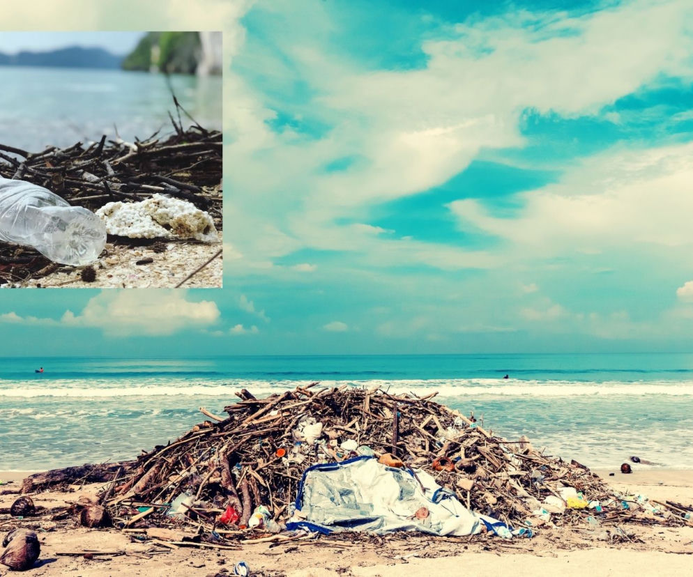 GIGANTYCZNE kary za zaśmiecanie plaży i lasów! Wiceminister klimatu i środowiska podał szczegóły
